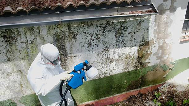 Top rated local Mold Remediation specialists in Hershey, PA